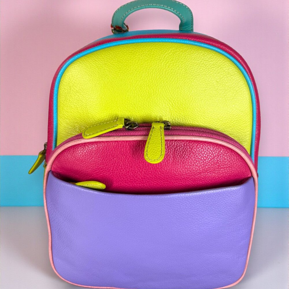Myra Bag Leather Colorblock "Color Pointe" Backpack - New